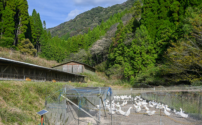 G-158【農薬・化学肥料不使用】循環農法で育てた自然の恵みいっぱいの『たから米(白米５キロ)』