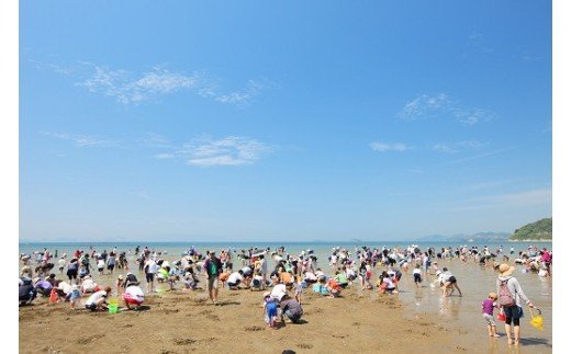 F-26 新舞子潮干狩り・海水浴ファミリーチケット