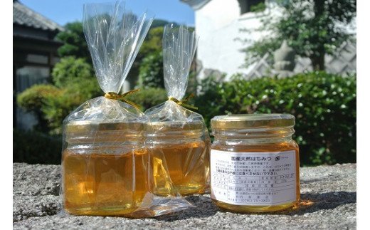 G-50　たつの市産はちみつ（百花）天然無添加　250g×3瓶