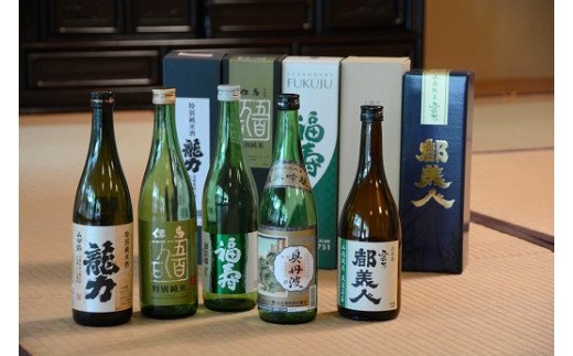 兵－2　兵庫五国！個性派揃い純米酒セット（720ml×5本）