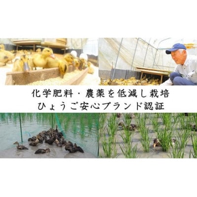 猪名川町産あいがも米(コシヒカリ10kg)玄米