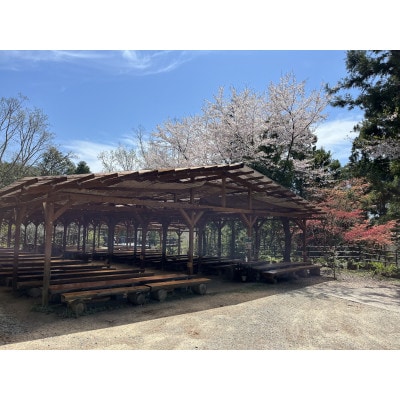 仲しい茸園のしい茸狩り＆バーベキュー　＜大人2名様分＞