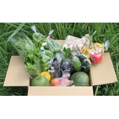 猪名川町産・おまかせ「夏野菜セット」合計約1.5～2.5kg(6種類以上)【配送不可地域：離島】