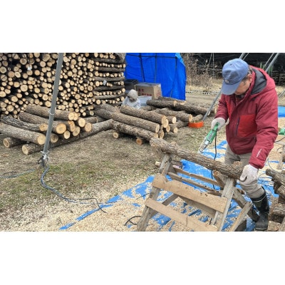 原木しい茸栽培キット