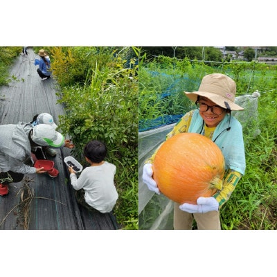『とちはら山空の家』自然遊び一日体験チケット　1枚(1名様分)