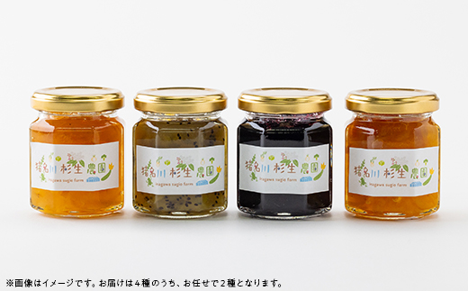 【猪名川町産】フルーツマーマレード・ジャム　2種セット(おまかせ)