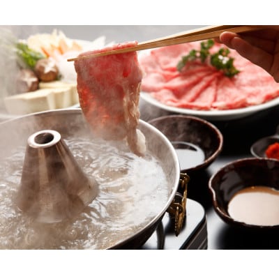 神戸ビーフ　すき焼き・しゃぶしゃぶ用　500g　INGWS2【配送不可地域：離島】