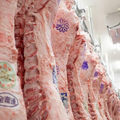 神戸ビーフ　焼肉用セット　合計1200g　INGWYS5【配送不可地域：離島】