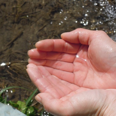 猪名川町のお米・コシヒカリ(精米)約18kg