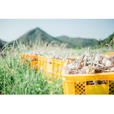 プレミアム有機黒にんにく100g×4セット