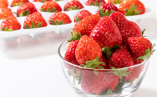 猪名川町産　多品種食べ比べ　いちご(18粒)【配送不可地域：離島・北海道・沖縄県】