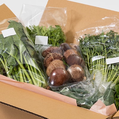 猪名川町産・おまかせ「冬野菜セット」合計約3～5kg(6種類以上)【配送不可地域：離島】