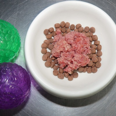 【冷凍】牛たん皮ミンチ ペット用　計3kg(1kg×3パック)【配送不可地域：離島】