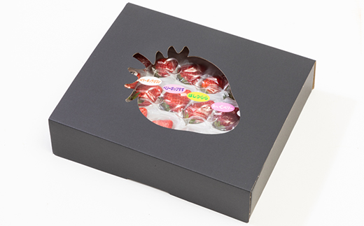 猪名川町産　多品種食べ比べ　いちご(18粒)【配送不可地域：離島・北海道・沖縄県】