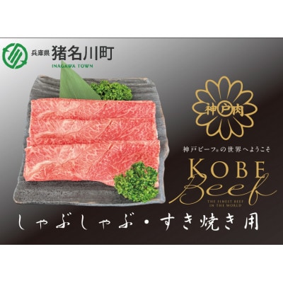 神戸ビーフ　すき焼き・しゃぶしゃぶ用　500g　INGWS2【配送不可地域：離島】