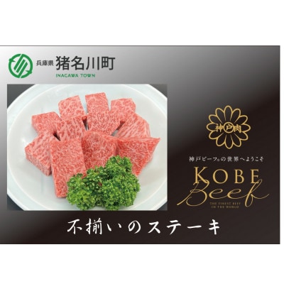 神戸ビーフ　不揃いのステーキ　600g　INGWDS3【配送不可地域：離島】