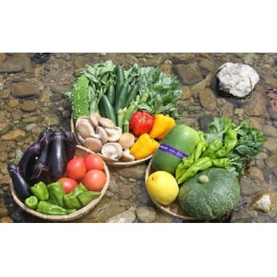 猪名川町産・おまかせ「夏野菜セット」合計約1.5～2.5kg(6種類以上)【配送不可地域：離島】