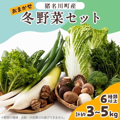 猪名川町産・おまかせ「冬野菜セット」合計約3～5kg(6種類以上)【配送不可地域：離島】