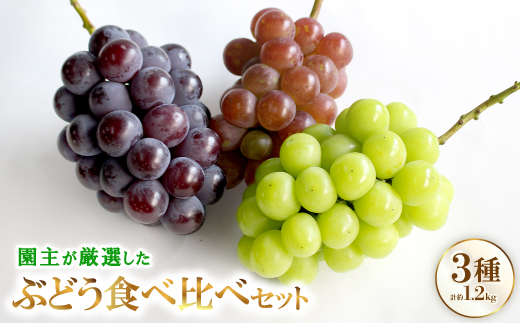 厳選 3種類のぶどう食べ比べセット【配送不可地域：離島・北海道・沖縄県】