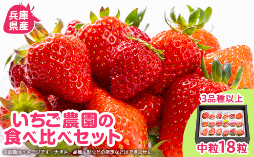 猪名川町産　多品種食べ比べ　いちご(18粒)【配送不可地域：離島・北海道・沖縄県】