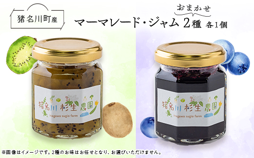 【猪名川町産】フルーツマーマレード・ジャム　2種セット(おまかせ)