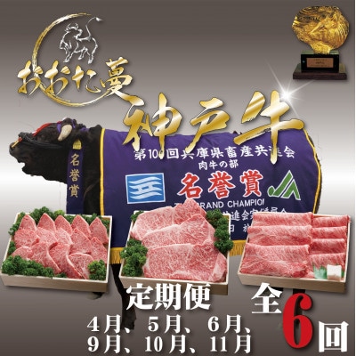 【発送月固定定期便】A5 おおた蔓 神戸牛(神戸ビーフ)　それは選ばれし希少な一頭全6回【配送不可地域：離島】