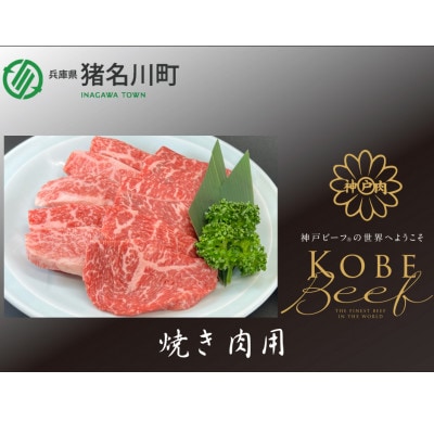 神戸ビーフ　焼肉用　500g　INGWY2【配送不可地域：離島】