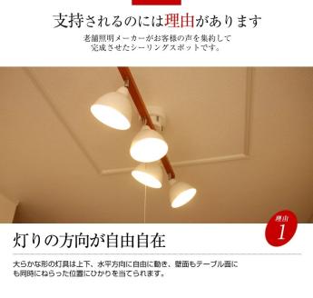 シーリングライト プルスイッチ 天井照明 LED昼白色付属[631] LED昼白色付属