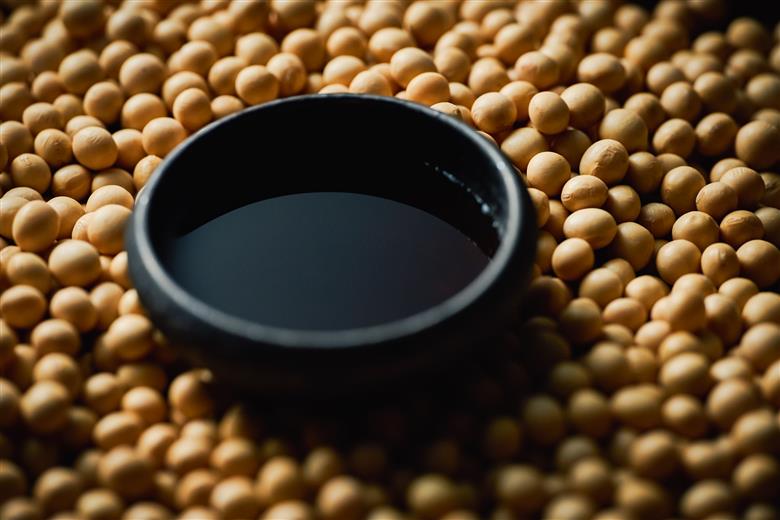 こだわりの国産丸大豆醤油（こい口2本、うす口1本）詰め合わせ[505]