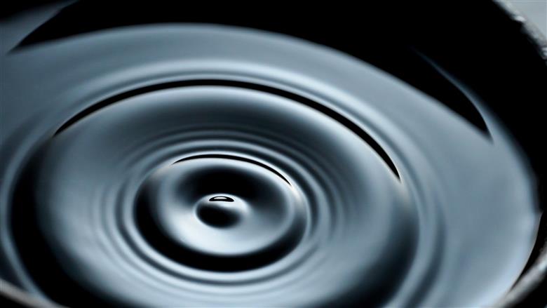 木桶仕込み 自然栽培みそ「結」と国産有機醤油詰め合わせ[508]