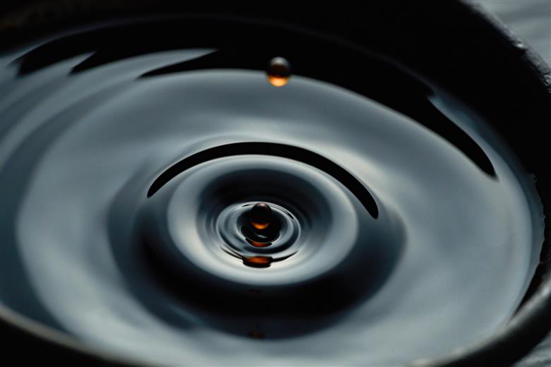 自然栽培味噌「結」と国産有機醤油、有機味噌詰め合わせ[539]