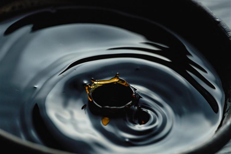 自然栽培味噌「結」と国産有機醤油、味噌、ゆずポン酢、だし醤油詰合わせ[540]