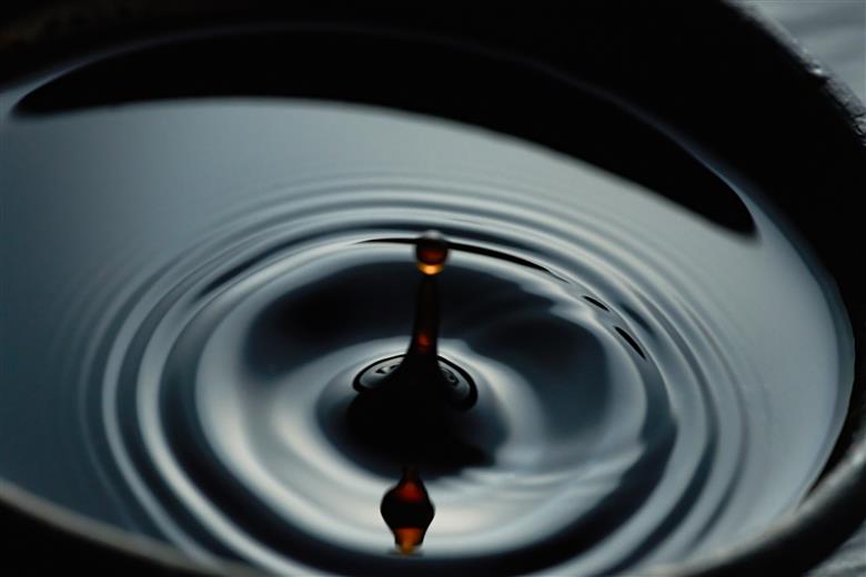 こだわり醤油、味噌詰合わせ（黒大豆、かけ）[748]