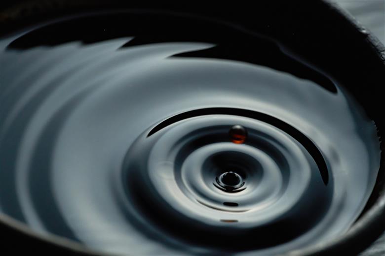 こだわり醤油、味噌詰合わせ（黒大豆、国産丸大豆）[749]