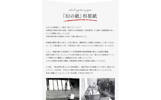 【杉原紙から作られた照明】LEDシーリングライトcl-30[874] 雲竜