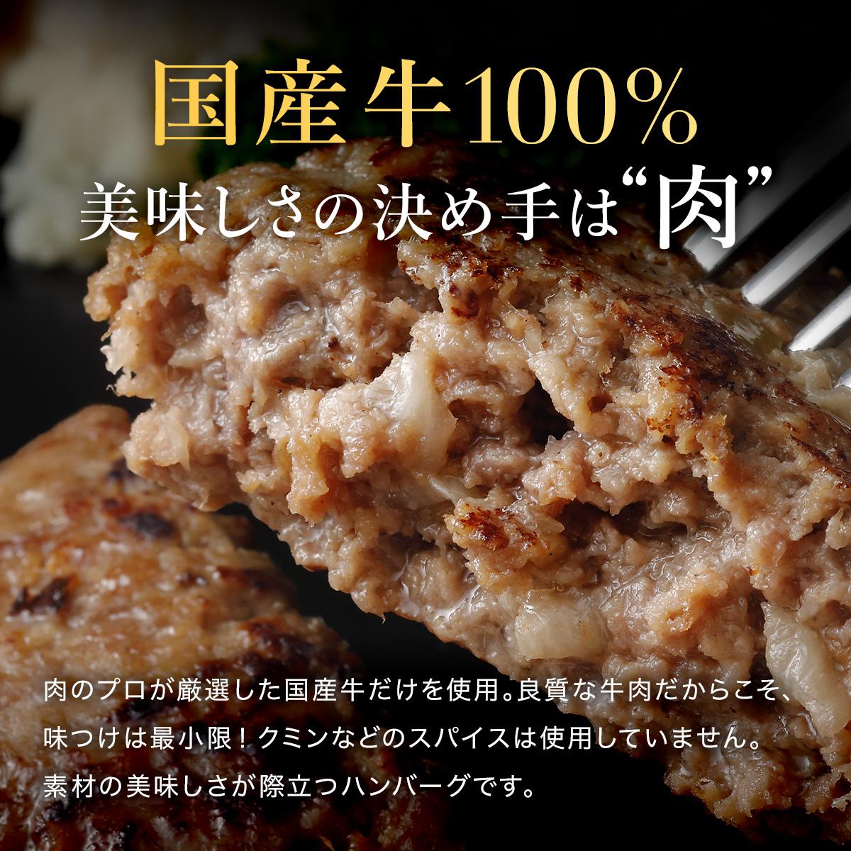 国産牛100% 直火焼きハンバーグ100g×6袋 [1305] 6袋