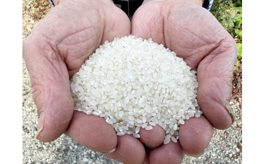 アイガモ農法で栽培した 無農薬 有機栽培米５kg お米 精米 こしひかり 兵庫県 多可町 ひのきもとさん