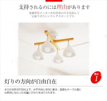 シーリングライトプルスイッチ 天井照明 LED昼白色付属[576] LED昼白色付属