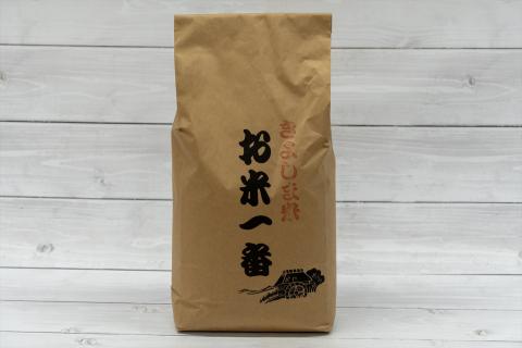 きよしま米【精米】５kg×２袋[823] コシヒカリ ５kg×２袋