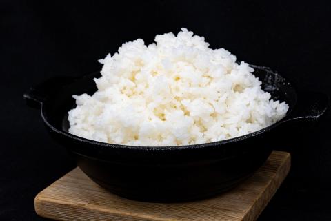 多可町加美区の清流で育ったコシヒカリ【精米】５kg×３袋[828] ５kg×３袋