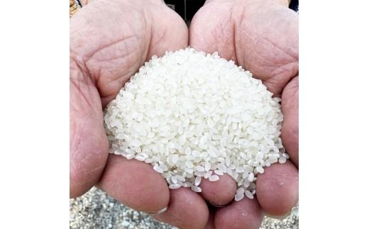 お米作り60年以上 檜本さんのキヌヒカリ5kg [1291] お米 精米 ５kg キヌヒカリ 兵庫県 多可町 ひのきもとさん