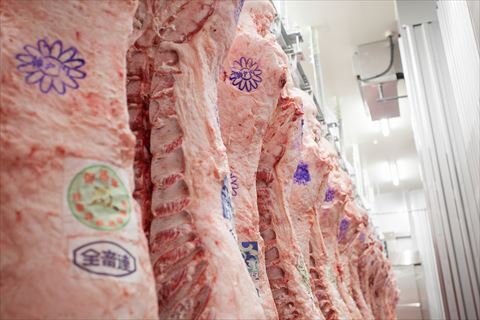 神戸ビーフ 焼肉用 TKY3[611] 神戸牛 太田家