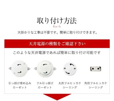 シーリングスポットライト リモコン 天井照明 LED昼白色付属[804] ブラウン×ブラック LED昼白色付属