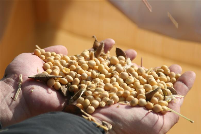 国産有機のお味噌詰合わせ[332]