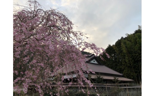 明治期の古民家「みのる庵」週末１組限定 地元食材の食事と宿泊 [1234] 宿泊券 古民家 宿泊 民泊 テントサウナ サ活 書家 １組限定 体験