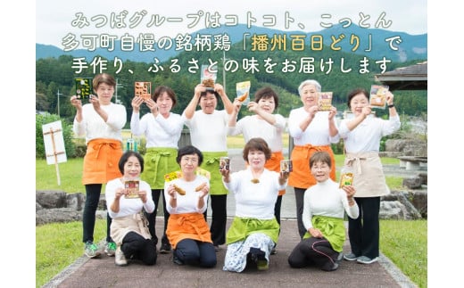 松 とりめしの具 常温 レトルト 播州百日どり 鶏めし 混ぜご飯 ２合用 ３合用 簡単 五つ星ひょうご[220]