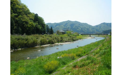 国産有機醤油（うす口4本）詰め合わせ[521]