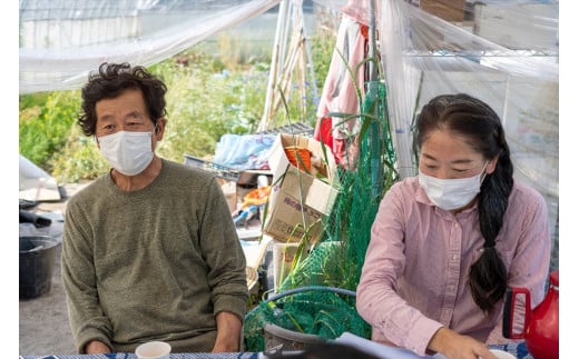 【季節限定】伝統野菜と在来種のピュアオーガニック野菜セット３か月定期便 [1182] ３回定期便