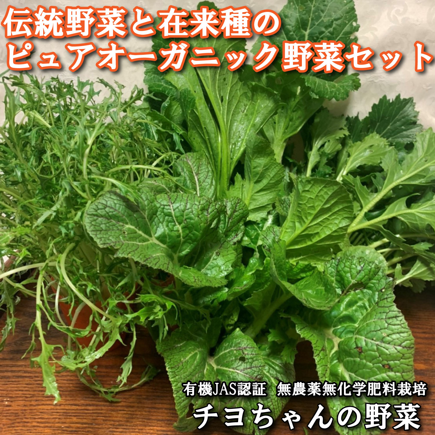 【季節限定】伝統野菜と在来種のピュアオーガニック野菜セット[1179] １回のみ