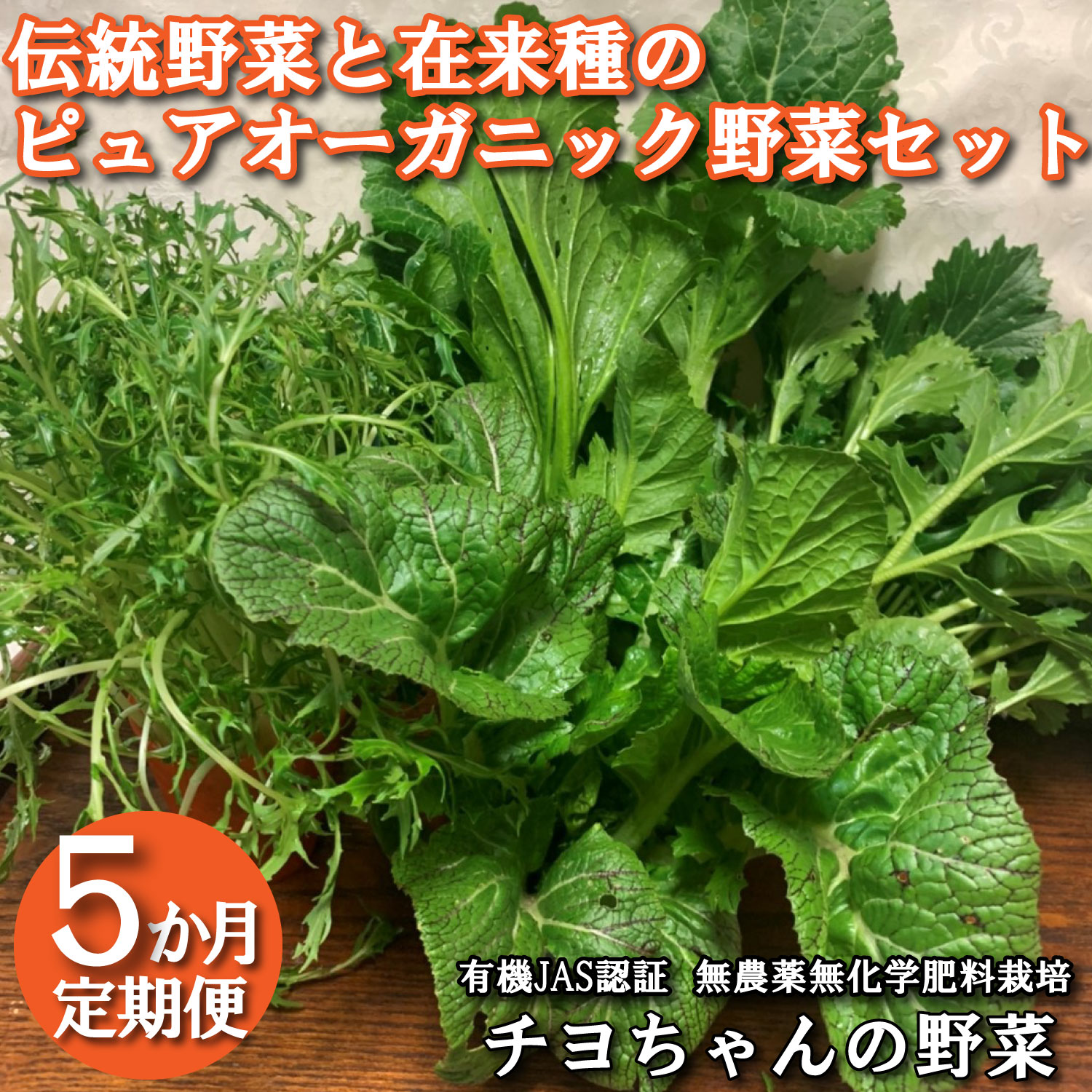 【季節限定】伝統野菜と在来種のピュアオーガニック野菜セット５か月定期便[1180] ５回定期便